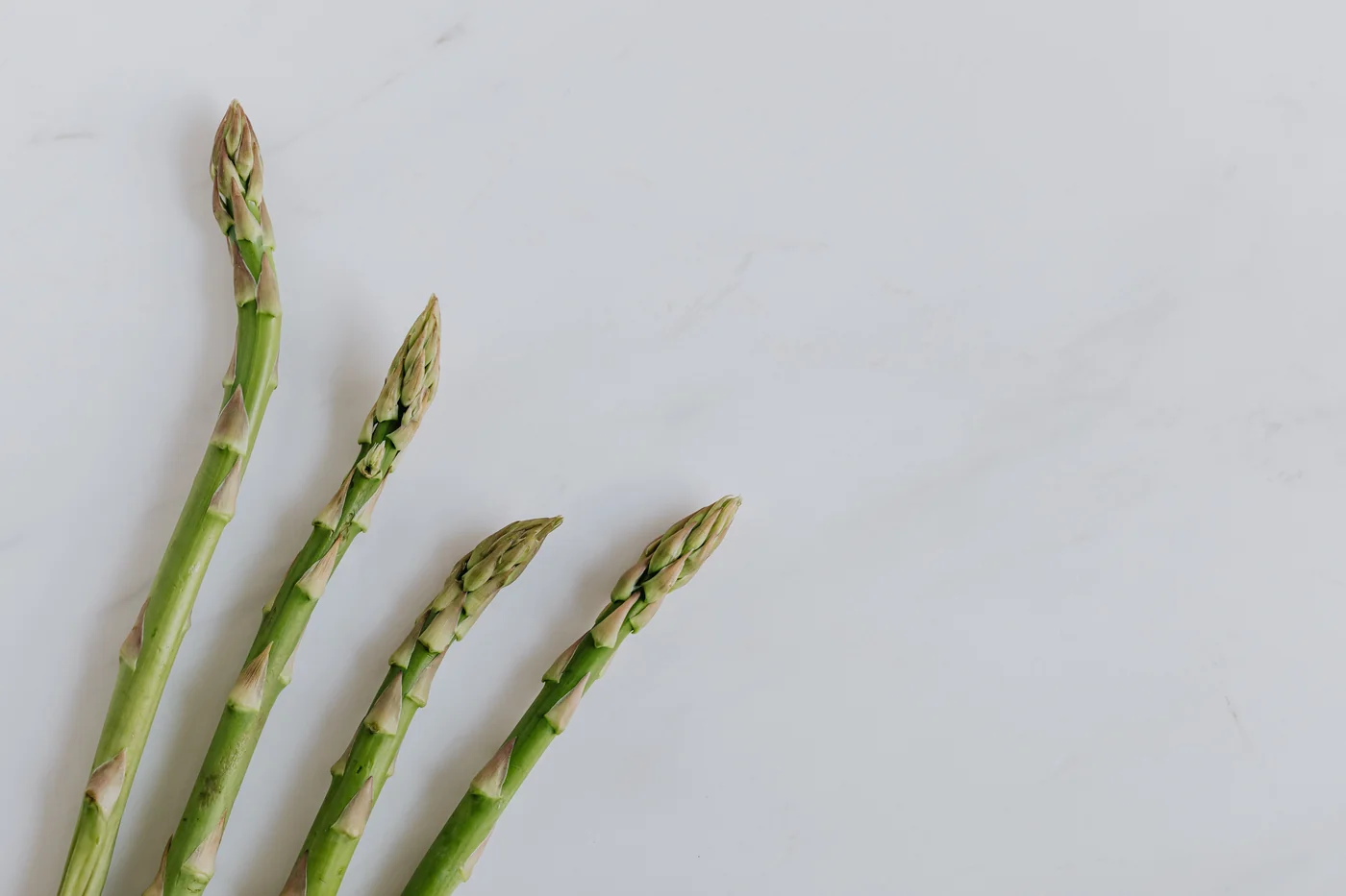 Asparagus Mousse