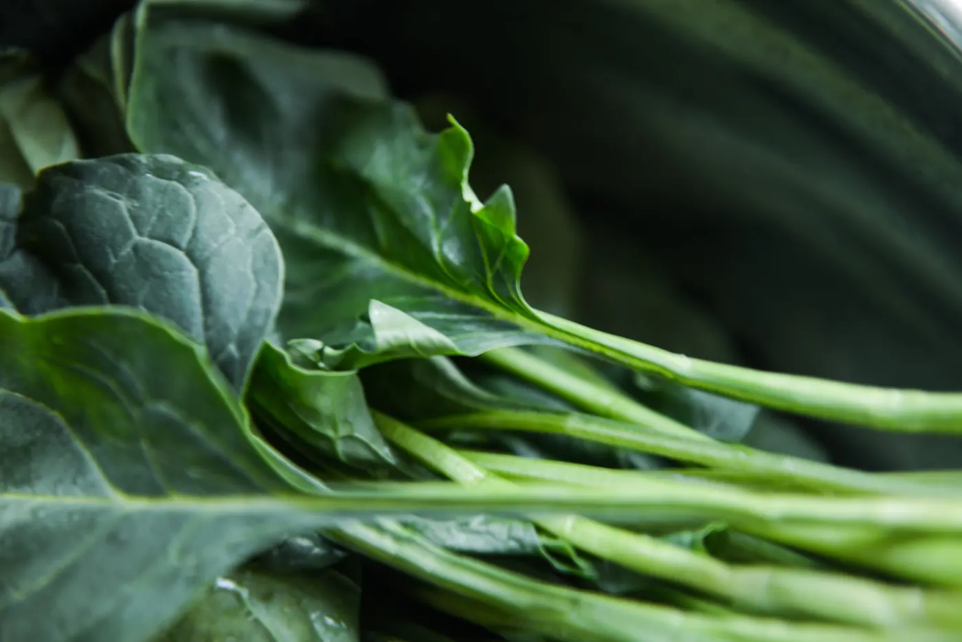 Kickin' Collard Greens
