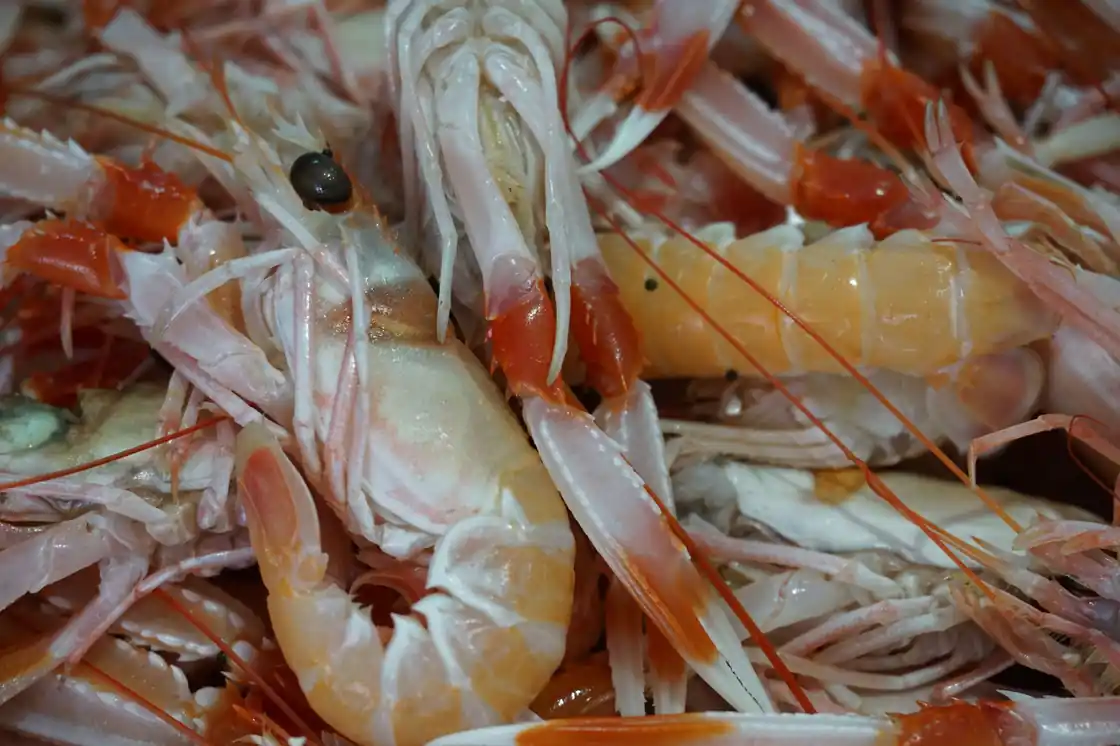 My Special Shrimp Scampi Florentine